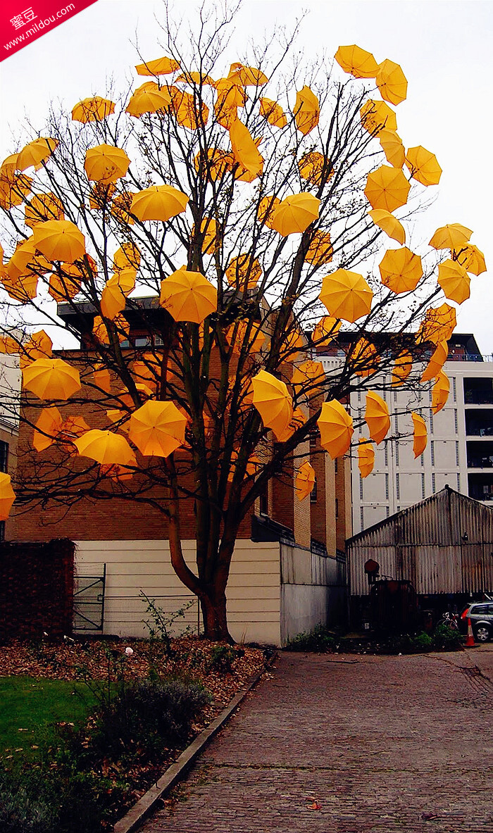 唯美风景 iPhone手机壁纸 唯美壁纸 锁屏 背景