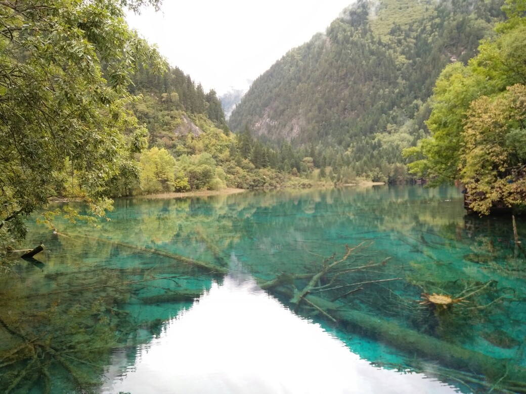 美景#美图#风景#蓝天#小清新#白云#壁纸
