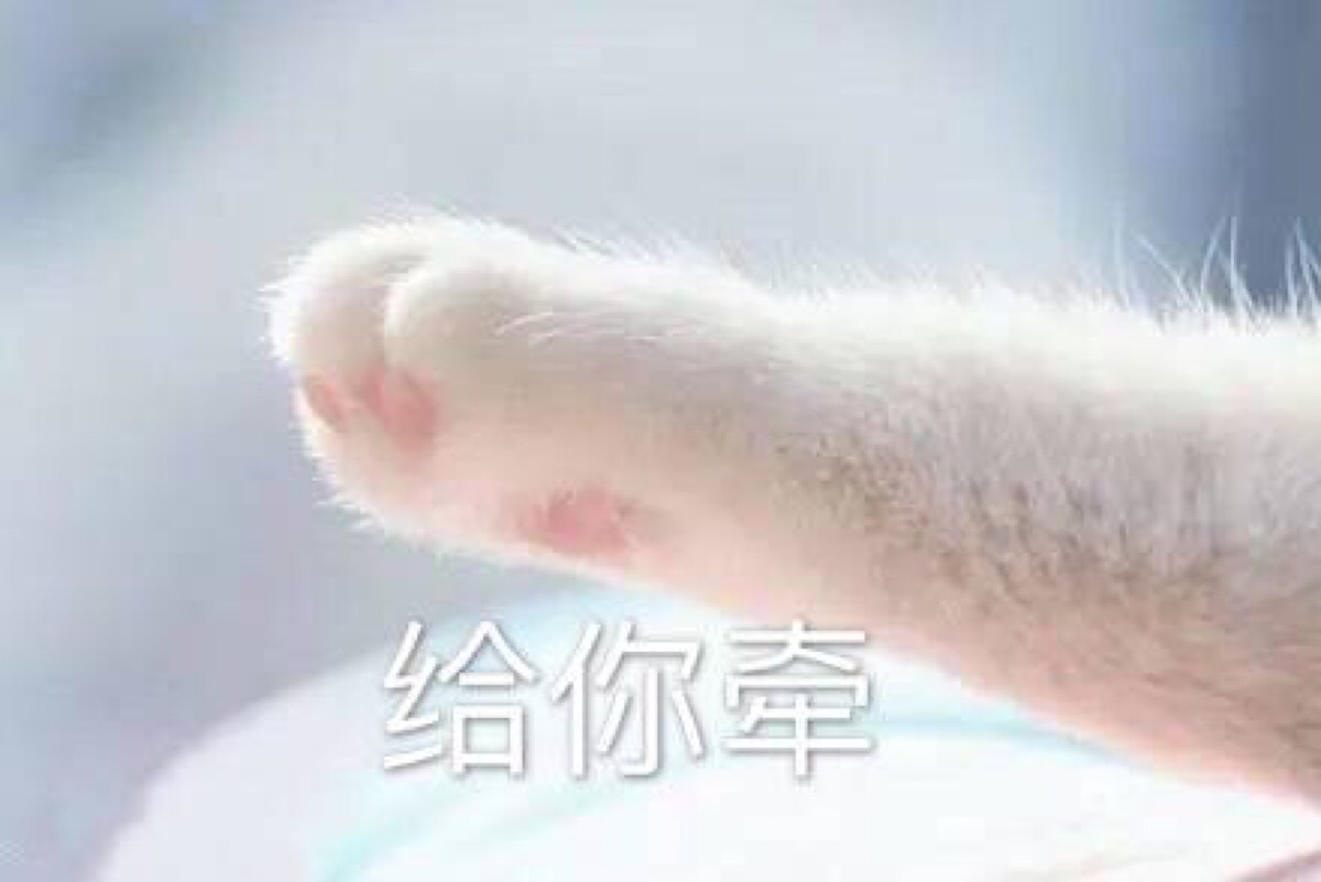 猫爪子表情包