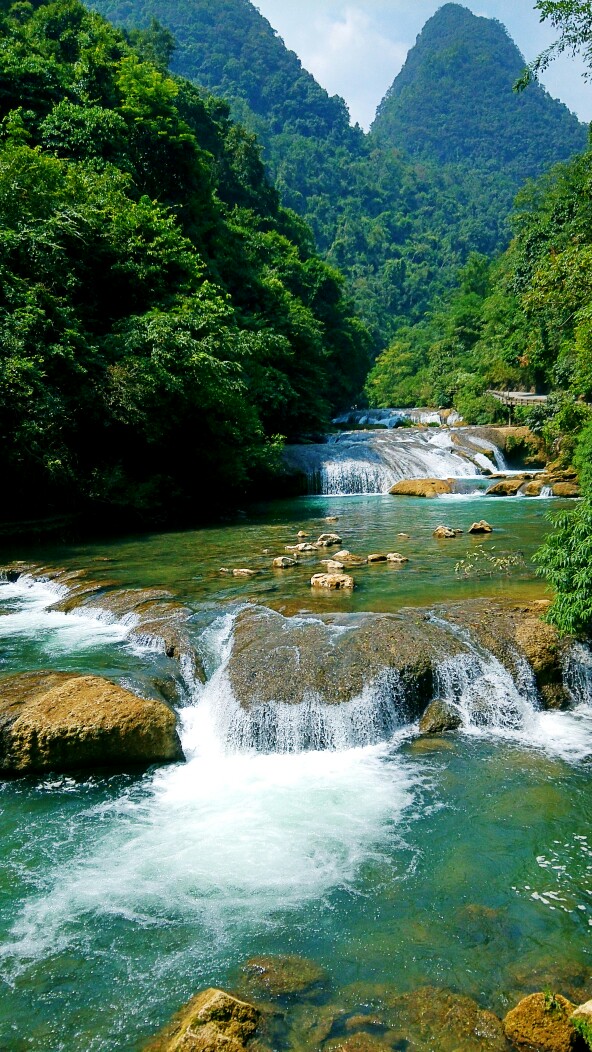 隐匿在树林里,倾听着溪水流淌的声音.