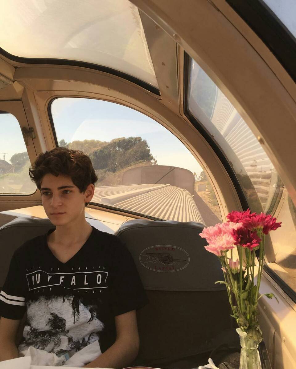 大卫马佐兹 david mazouz