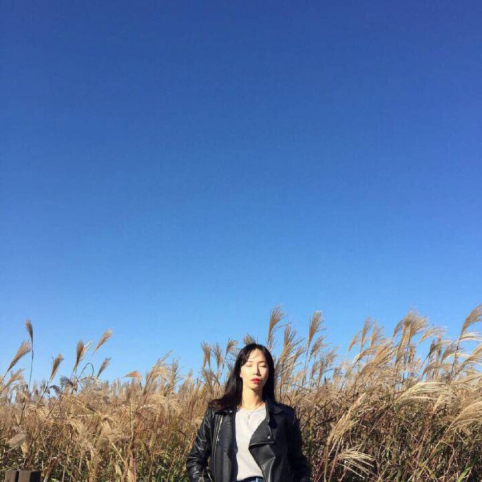 查看源网页
