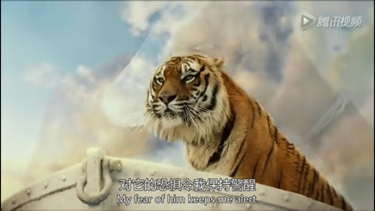 对他的恐惧令我保持警醒