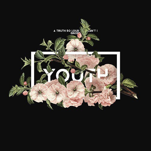 troye sivan 戳爷 youth