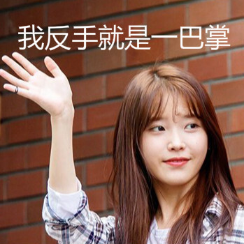 iu 李知恩 表情包