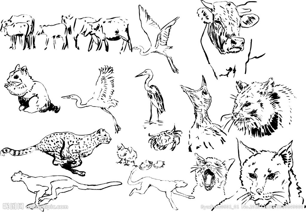 动物·艺术·简笔画