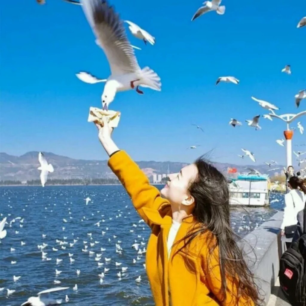 头像##女生头像##清新女头##小清新##高清无码##韩系头像##森系头像