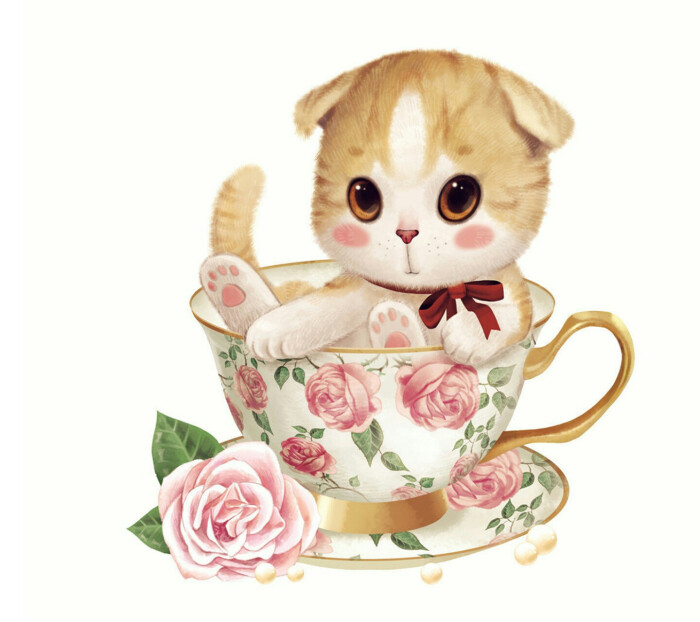 茶杯猫 
