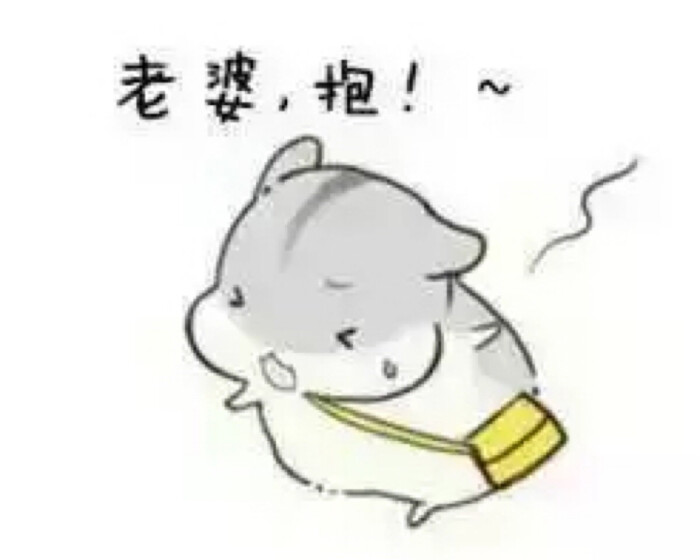 hamham 小仓鼠表情包