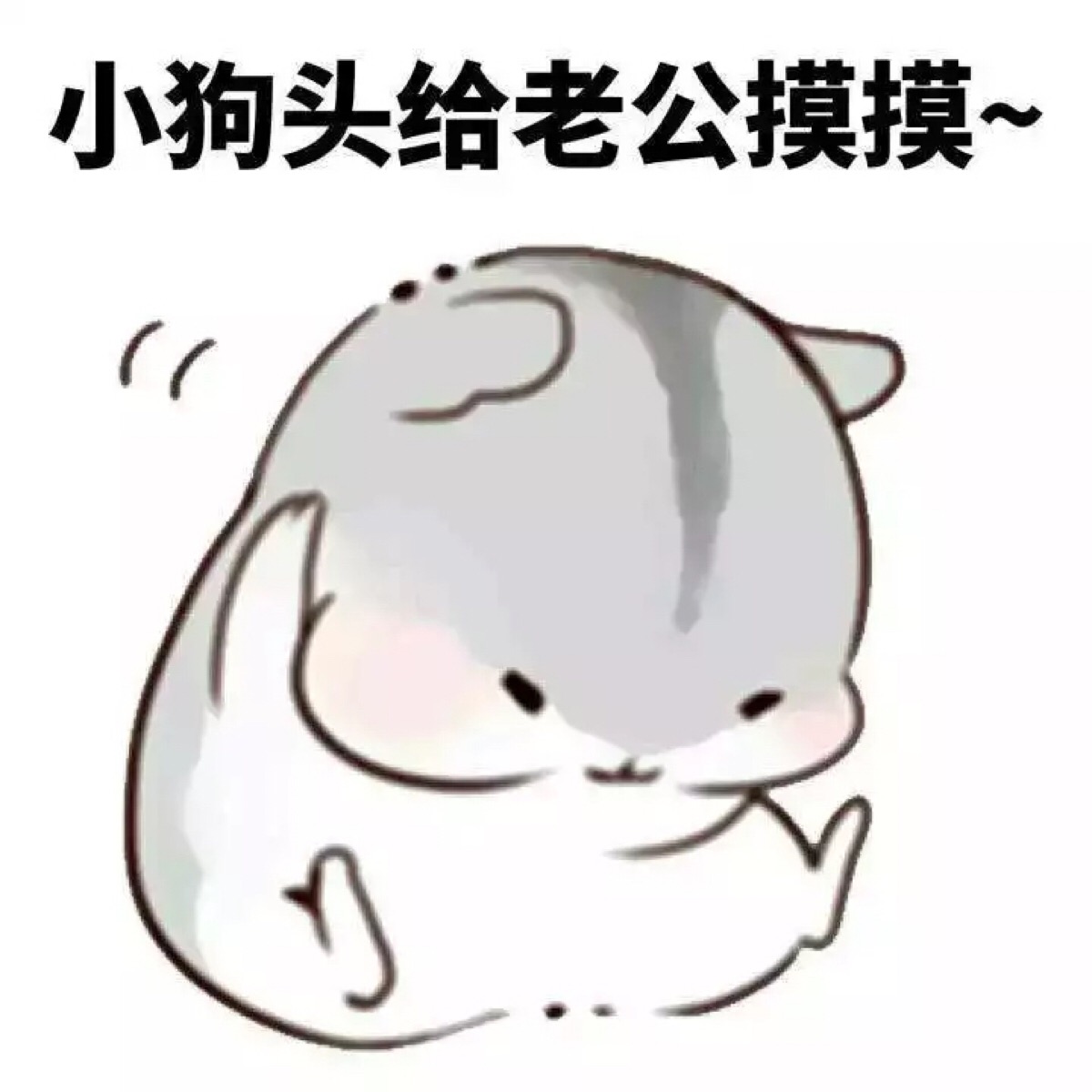 hamham 小仓鼠表情包