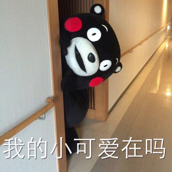 熊本熊表情包 (宝宝已经好久没更新辣想我没有)