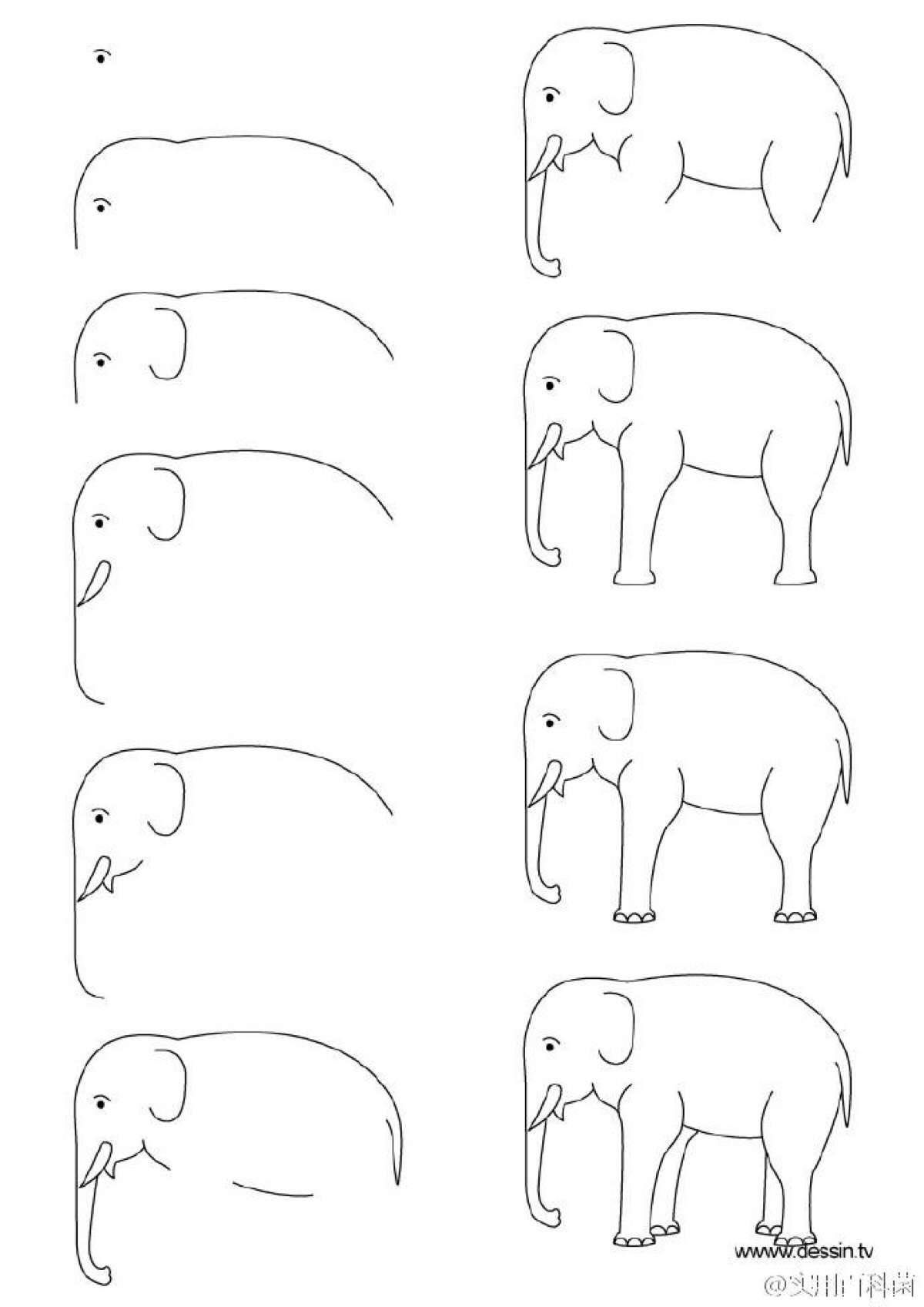 大象 简笔画