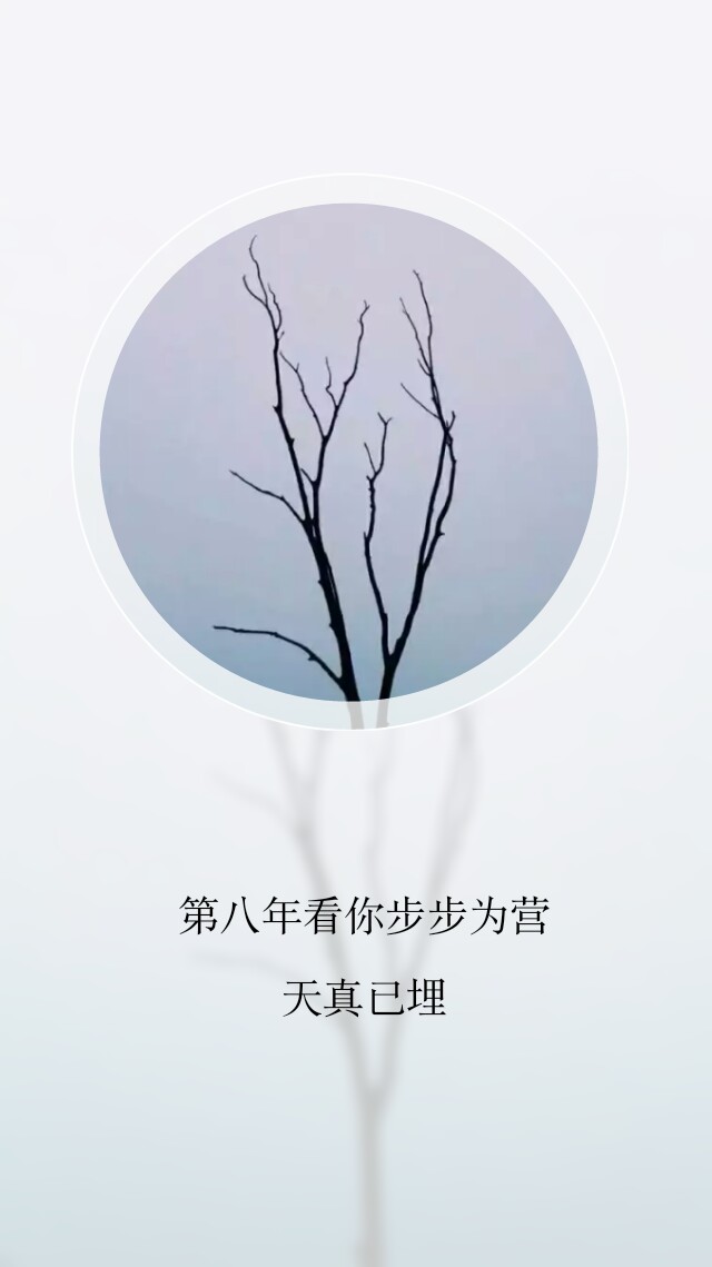 酒一杯敬你张起灵无伤无泪 无爱无恨 无喜无悲 路过几坊烟火吹无人陪