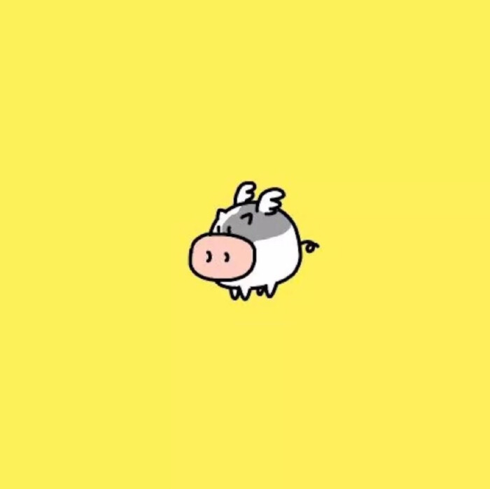 小猪头像.可爱.萌物.情侣头像.姐妹头像.