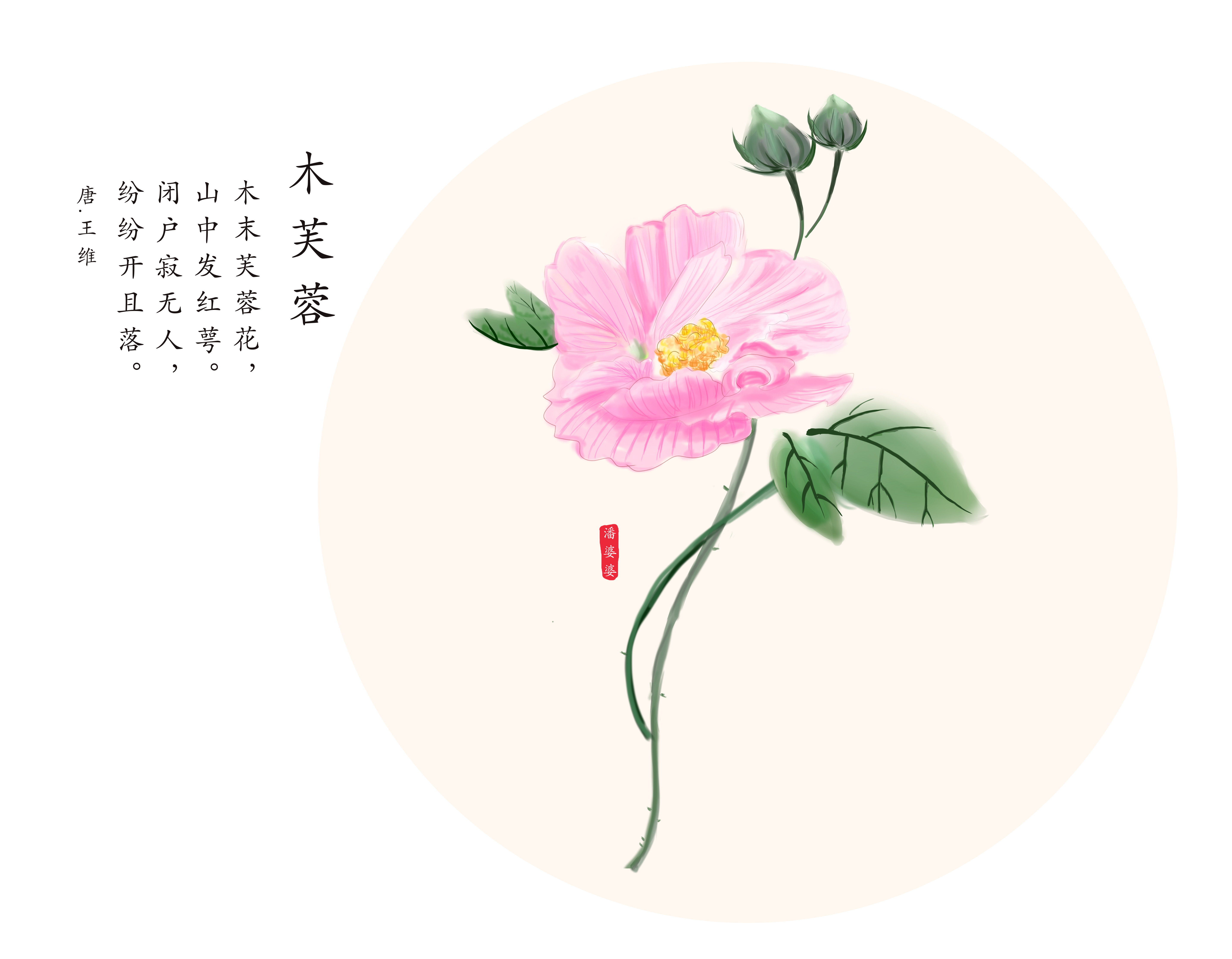 本草有情#前几天是九九重阳,此时采摘的木芙蓉药效是一年中最好的