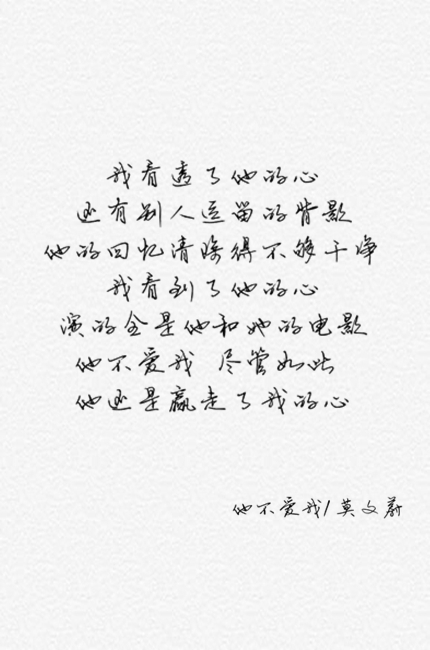 他不爱我/莫文蔚