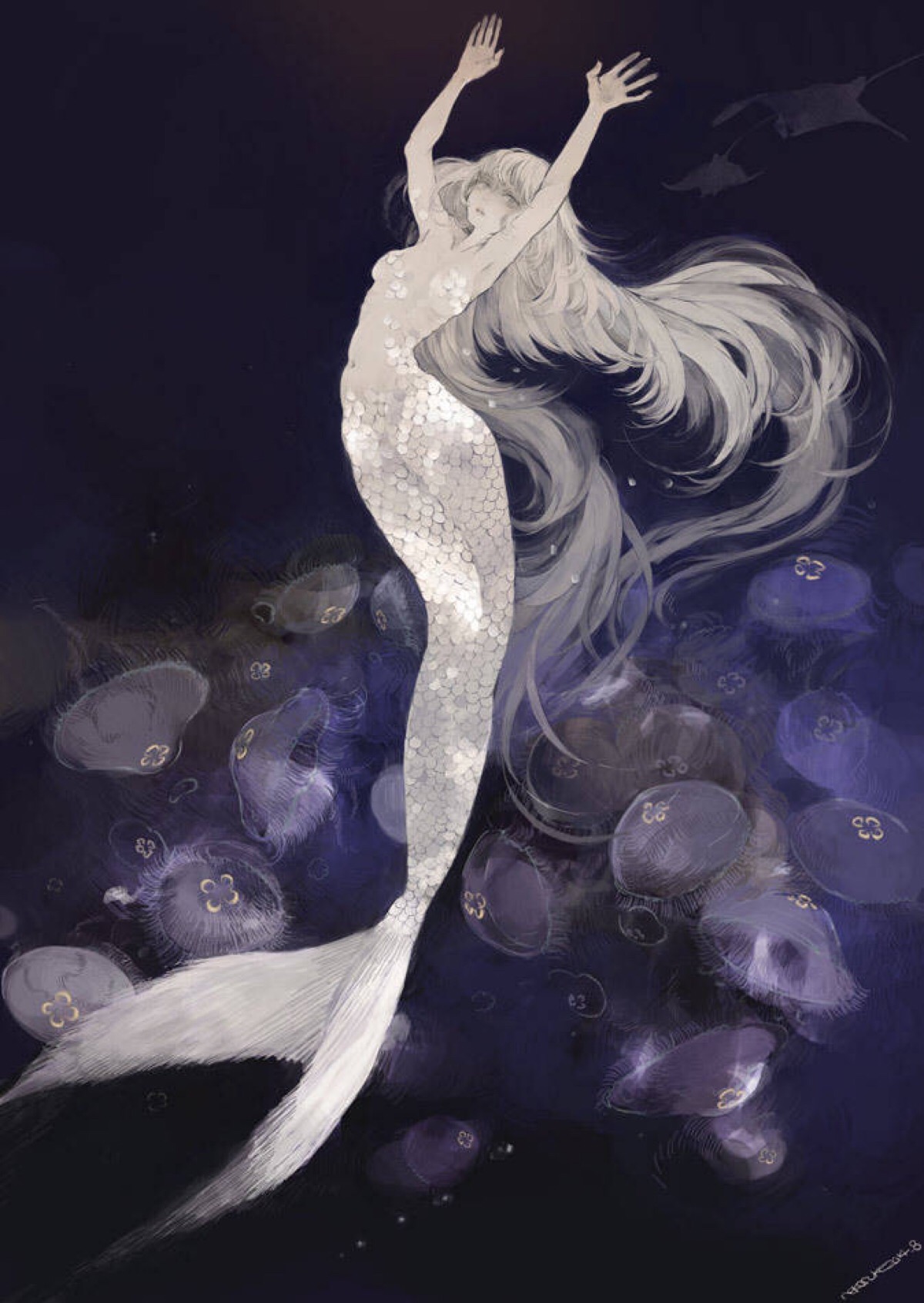 美人鱼 插画 美图
