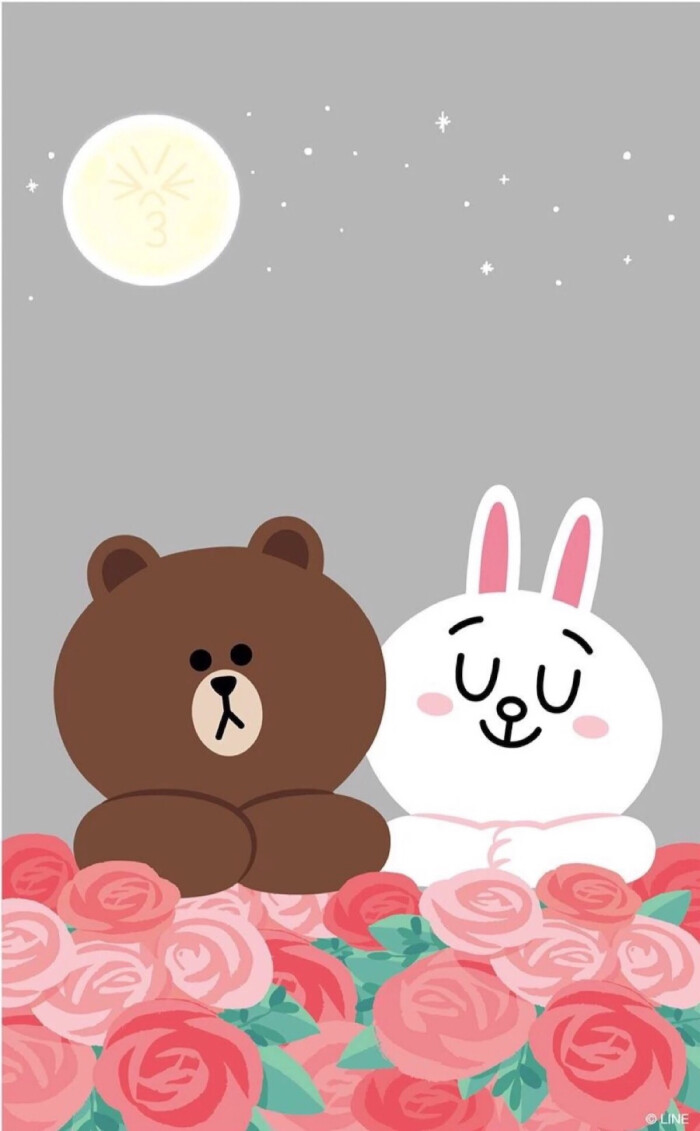 line friends 布朗熊 可妮兔