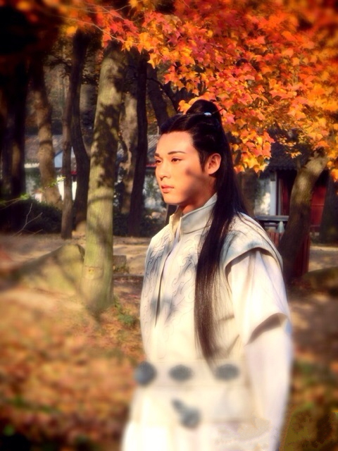 陈奕兰陵王妃兰陵王美如画