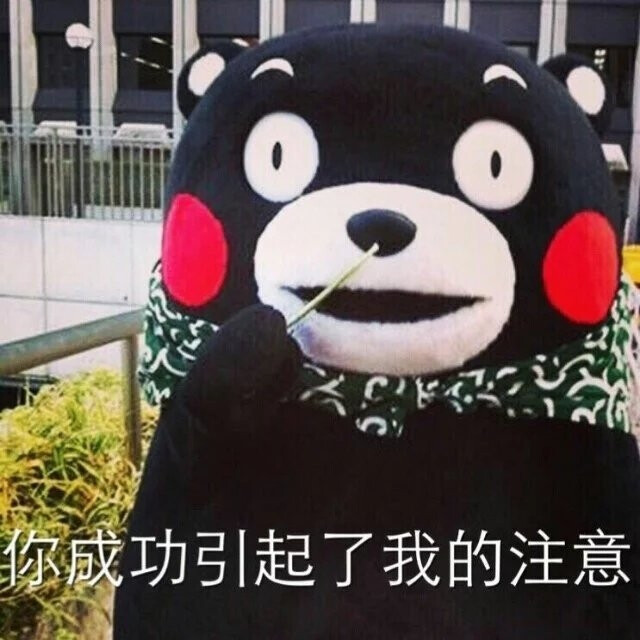 熊本熊表情包