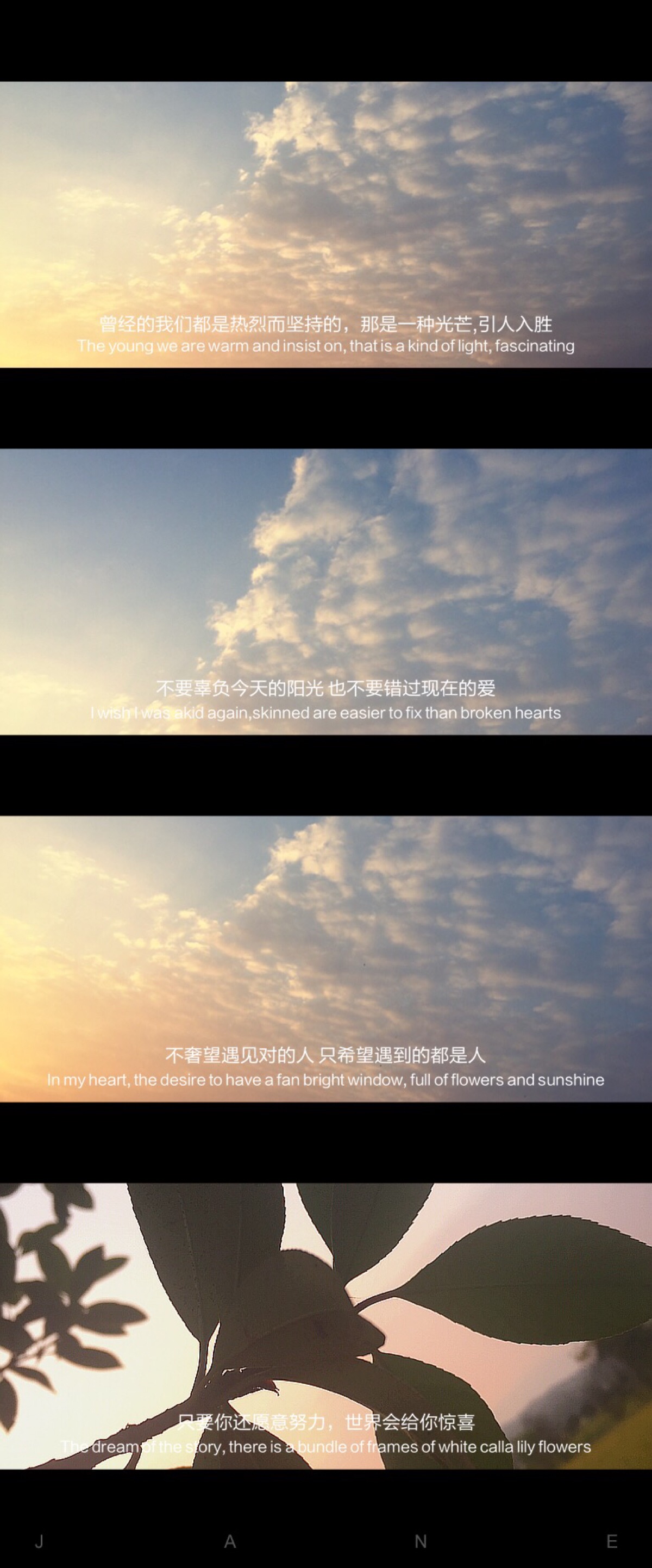做自己想做的事情
