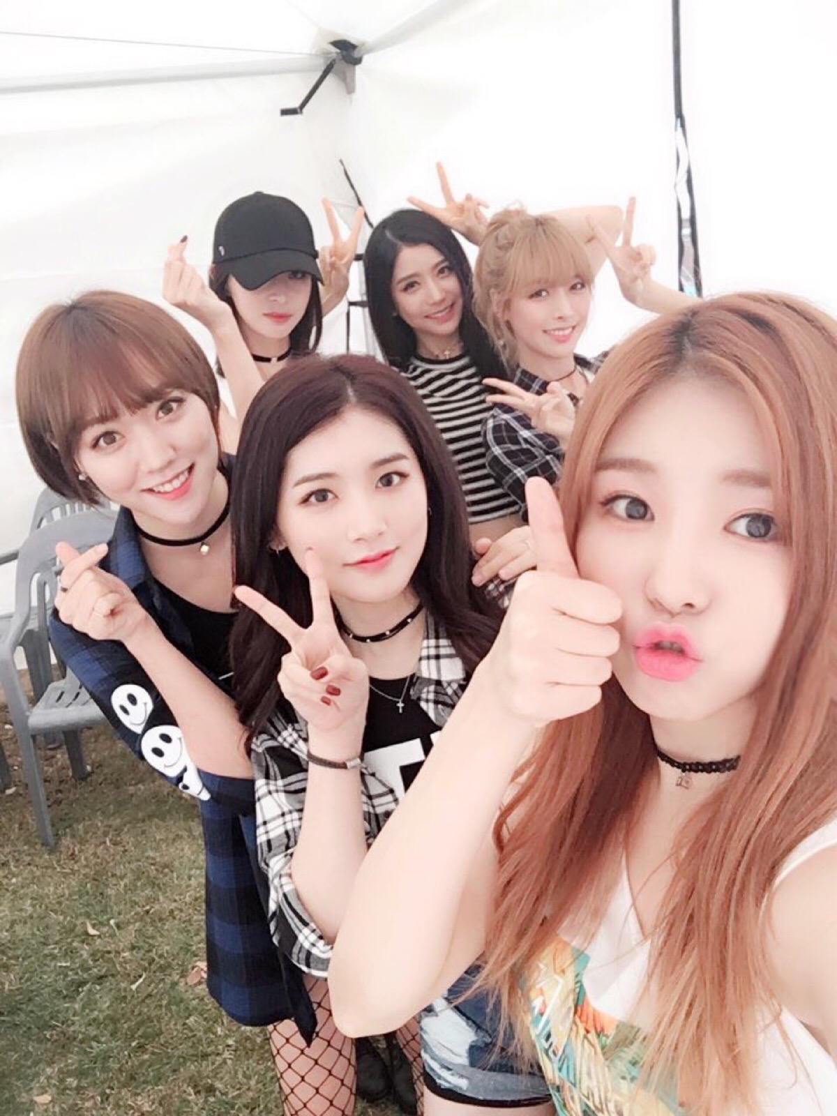 hellovenus