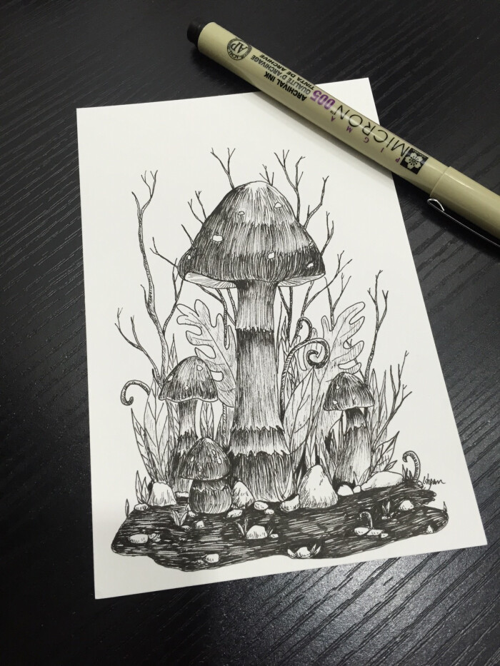 直接针管笔画的线稿,小蘑菇