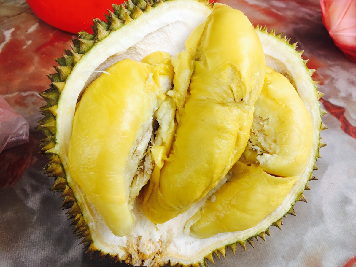 去新山吃榴莲
