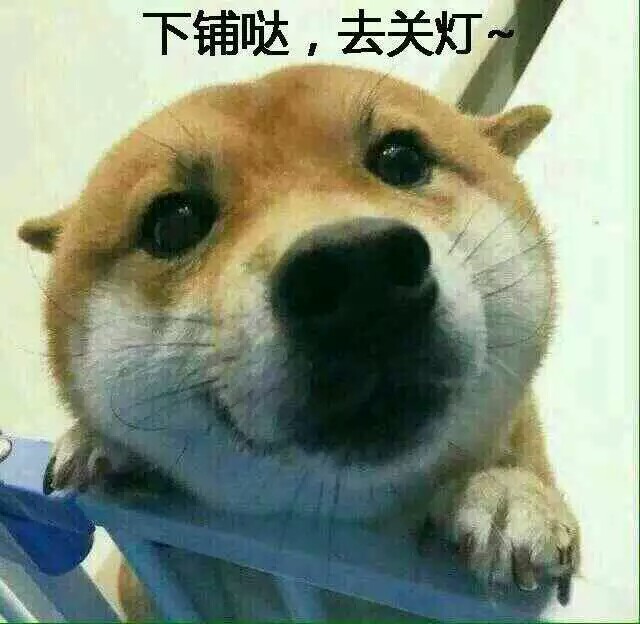 卖萌.头像