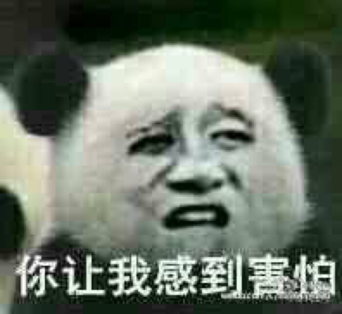 表情包 你让我感到害怕