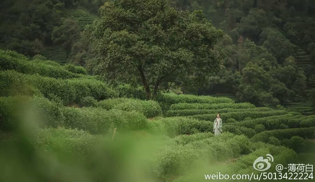 按箫对答应何似?玉屏山下万壑松.拾阶直上披苍衣,沾衣拂面九月风.