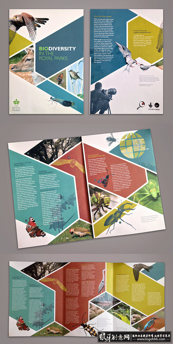 创意画册 不规则色块版式构图设计灵感 优秀海报版式设计 创意海报