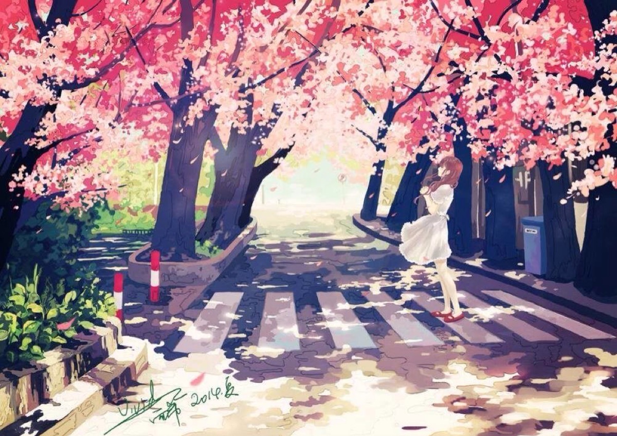【幽灵】不是现实不代表不是真心&唯美,少女,二次元,风景,樱花,街道