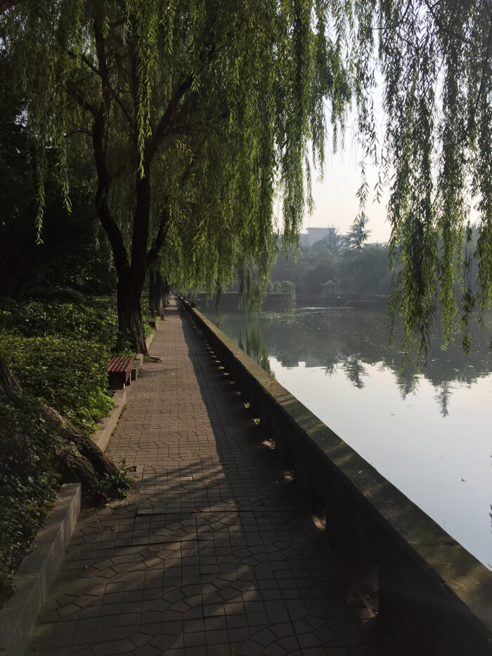 成都理工大学 风景