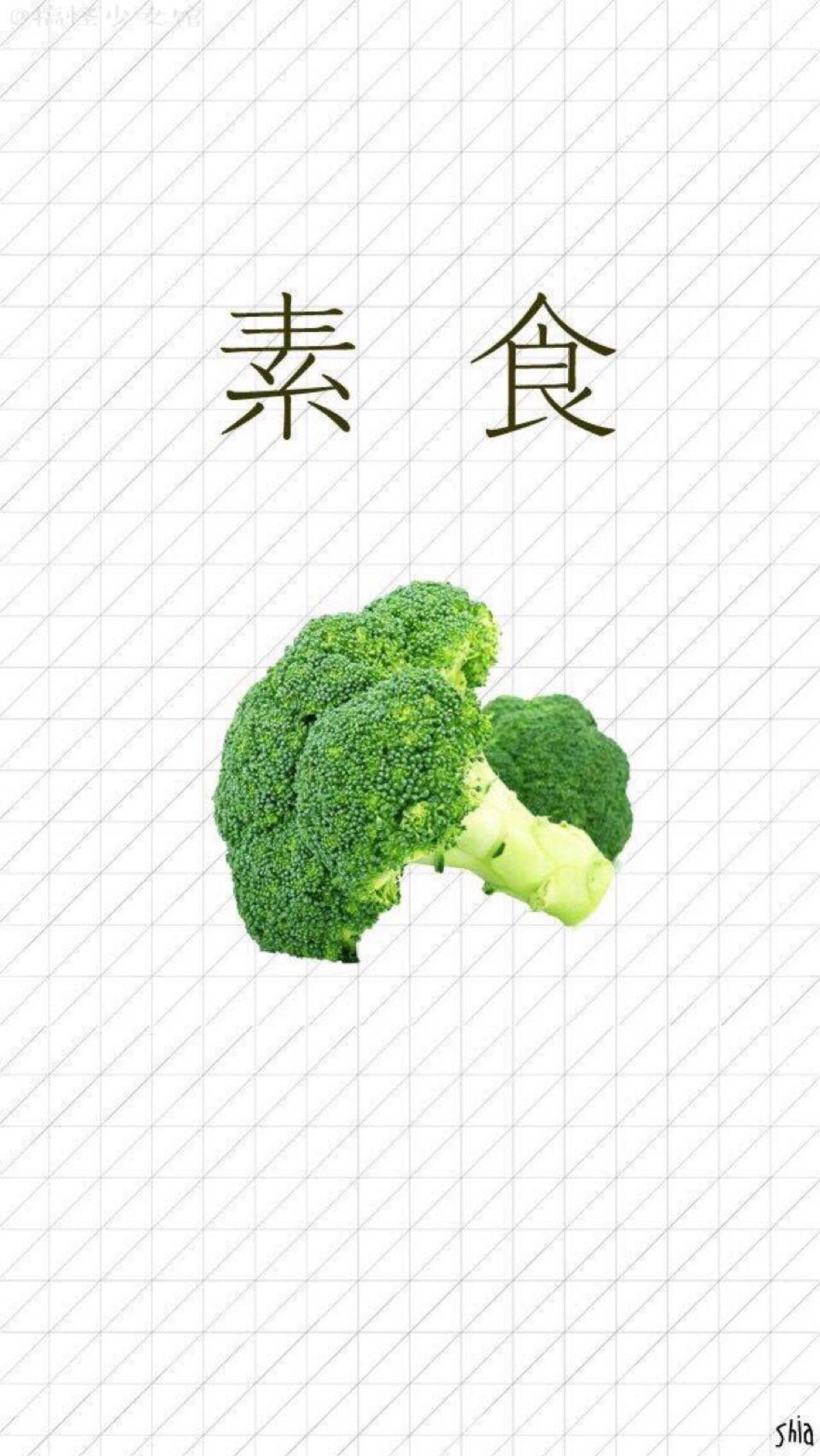 素食 减肥 西兰花 文字 简约 高清iphone壁纸