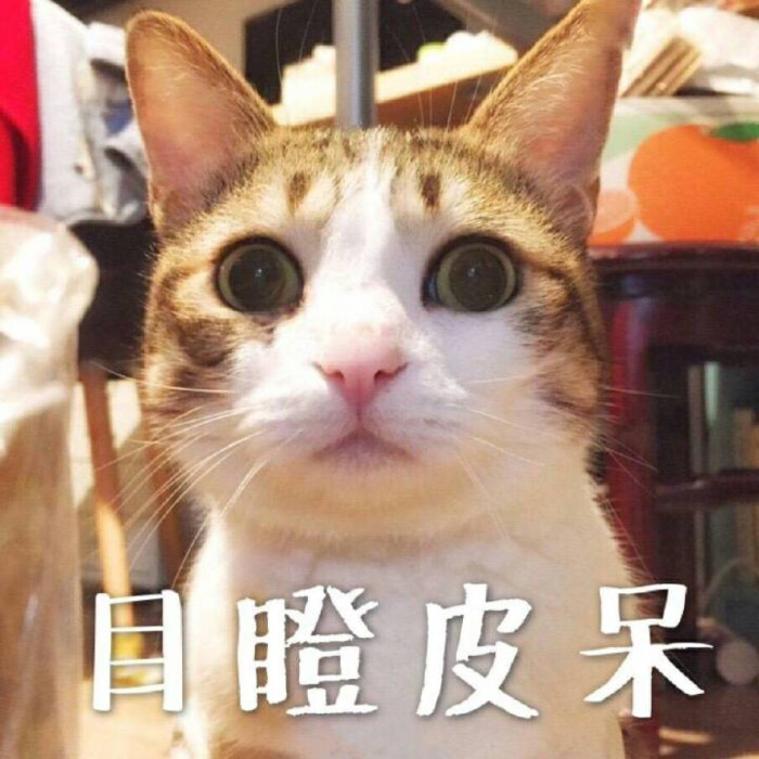 20161023223040_EyvBz.thumb.700_0.jpeg