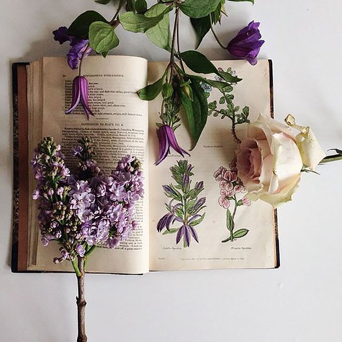 书与花