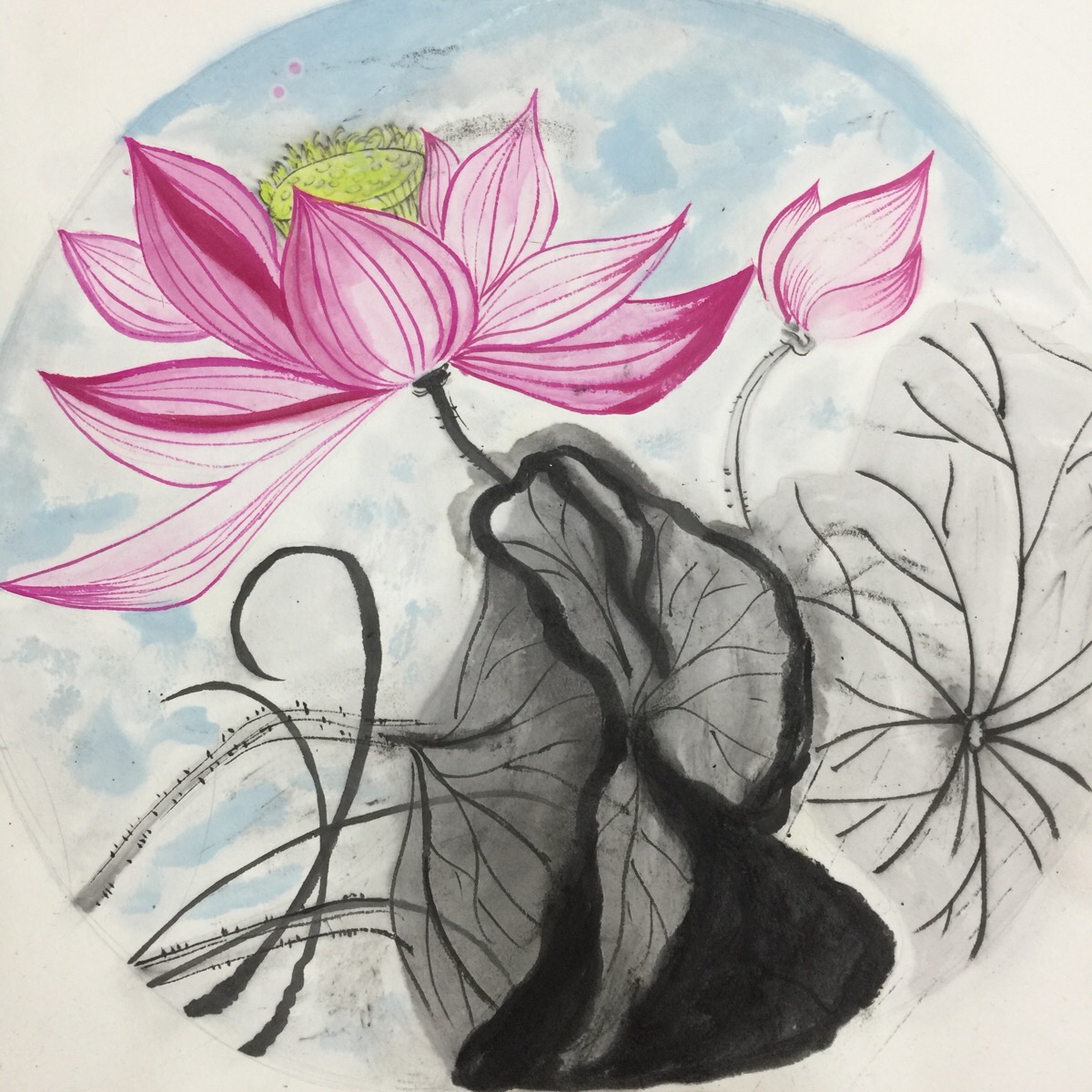 荷花,国画,水墨画,水彩画