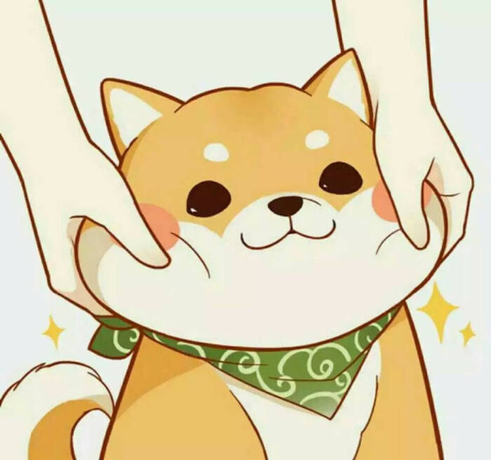 还是小肥柴