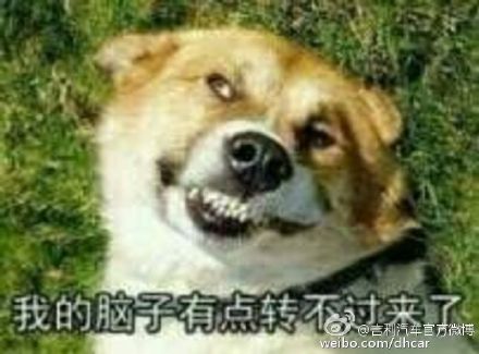 我的脑子有点转不过来了