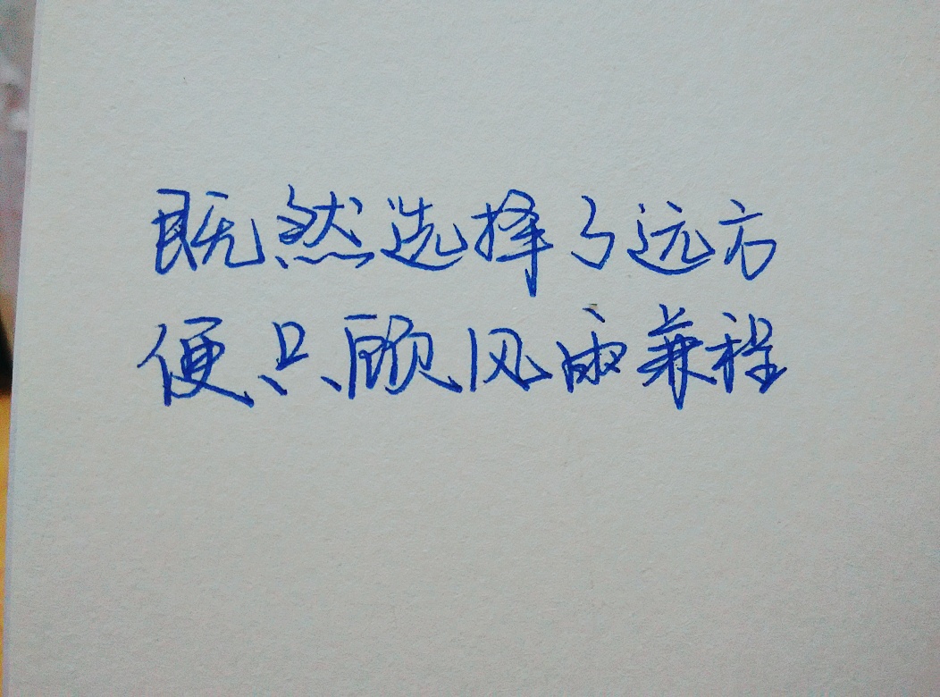 既然选择了远方,便只顾风雨兼程.——汪国真《热爱生命》手写文字