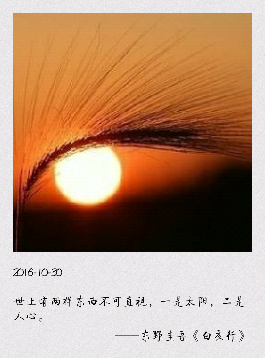 东野圭吾 《白夜行》世上有两样东西不可直视,一是太阳,二是人心.