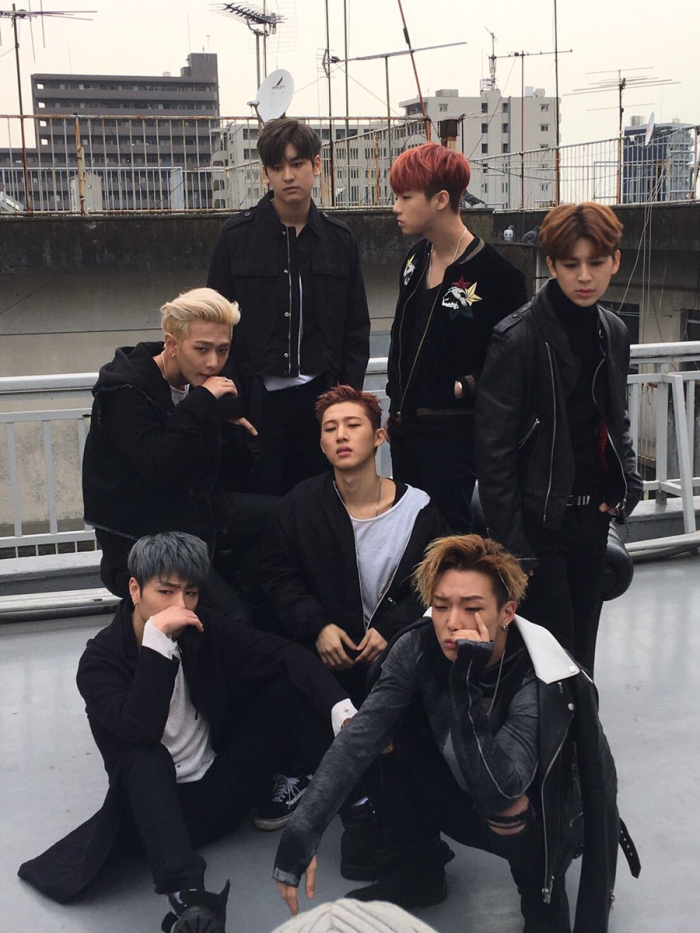 ikon b.