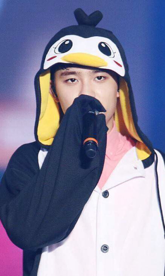 EXO三巡首尔 动物睡衣 都暻秀-堆糖，美好生活研究所