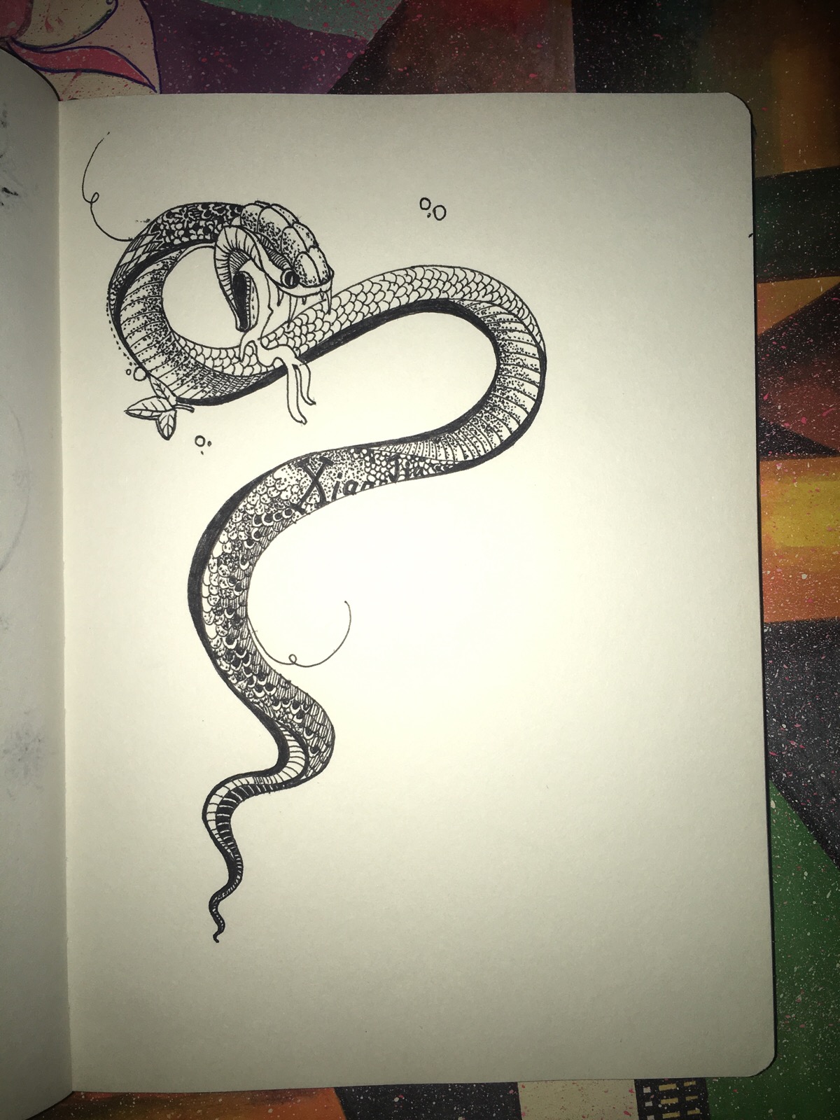 黑白装饰蛇,蛇,线条.黑白.