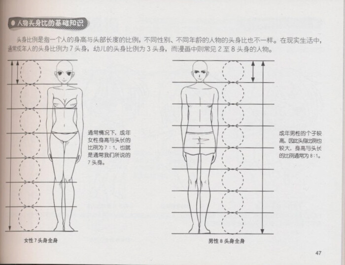 2016年11月3日 15:23   关注   动漫人物身体比例的搜索结果_百度