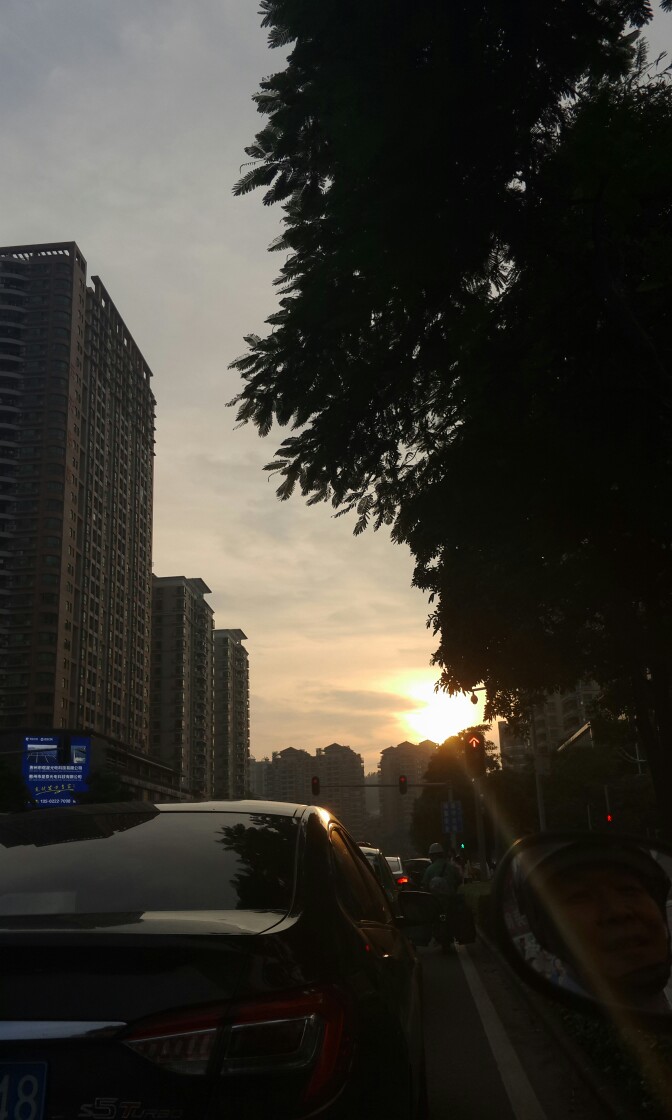阳光明媚 早上好