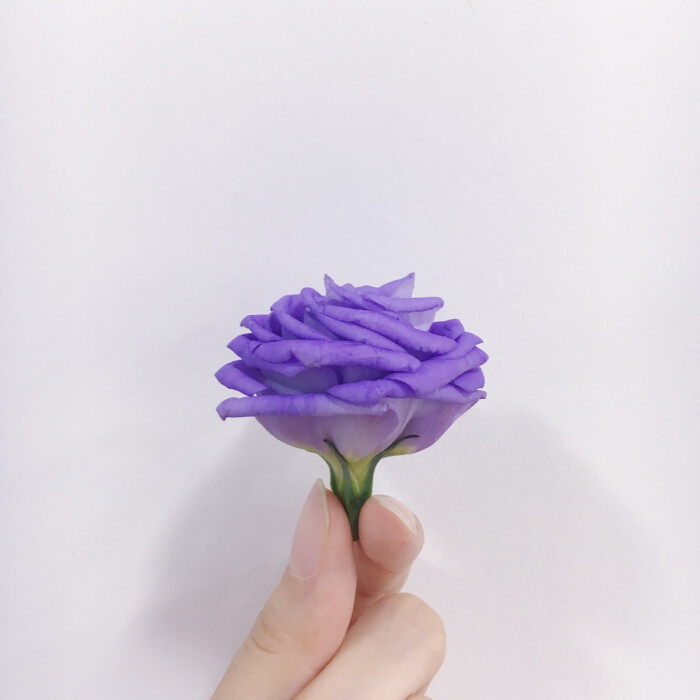 愿你一生有花可赏,有酒可醉,有伴可语,有…-堆