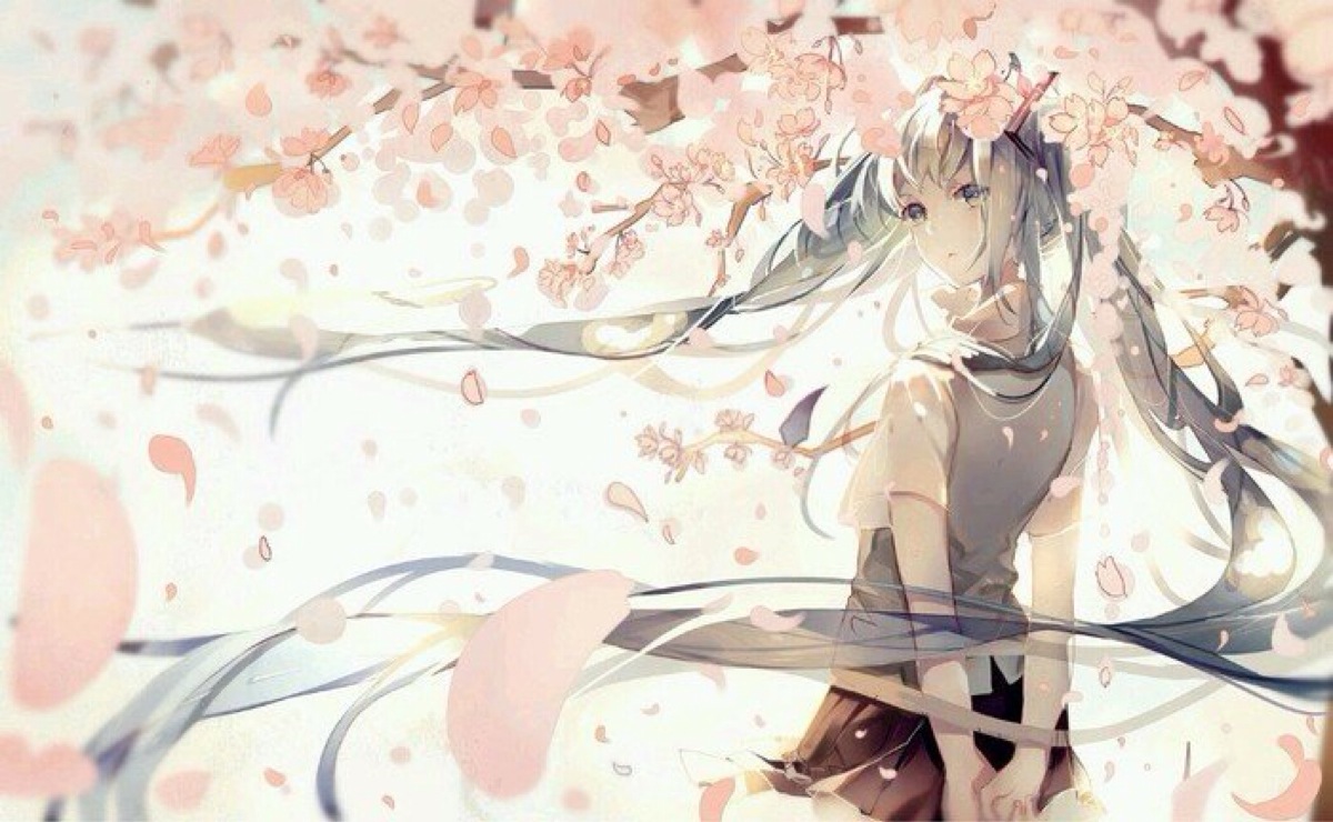 初音未来 樱花