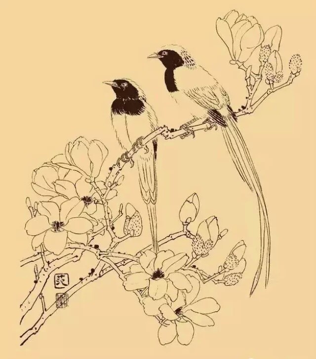 白玉兰等,颜色雅洁如玉,馨香浓重似兰,外形极像兰花,是历代中国画中的